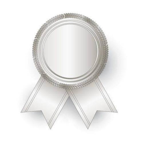 Paulistana Prev conquista Selo Prata em premiação do TCE/PI